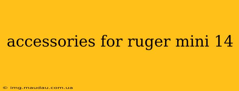 accessories for ruger mini 14