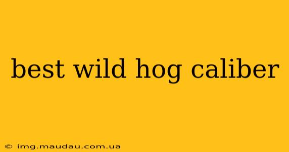 best wild hog caliber