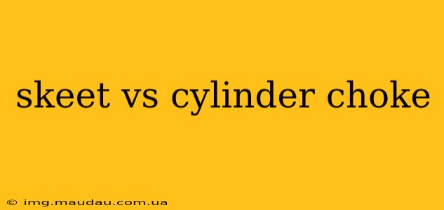 skeet vs cylinder choke