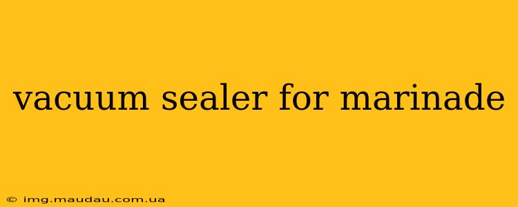 vacuum sealer for marinade